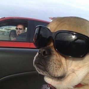 Meet your Posher, John